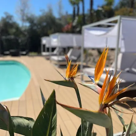 Charming Boutique Bed & Breakfast Bellagio