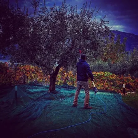 B&B Charming Boutique 4*