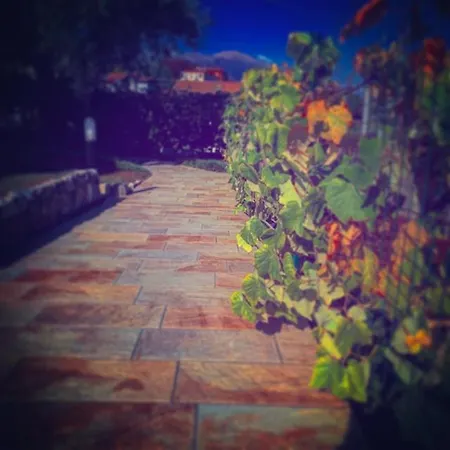 B&B Charming Boutique